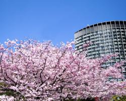 Hotel Grand Arc Hanzomon