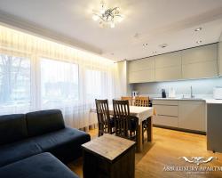 Luxury apartment Vytauto 16