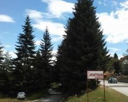 Apartments Grbović