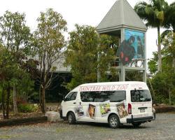 Daintree Wild Bed & Breakfast