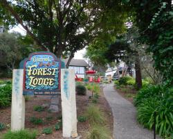 Forest Lodge