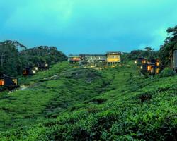 The Rainforest Ecolodge - Sinharaja