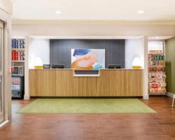 Spark By Hilton Grand Rapids