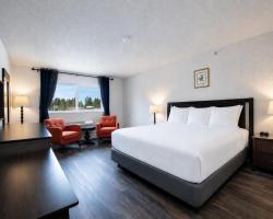 Hotel International