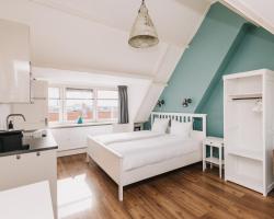 Divi Divi Zandvoort