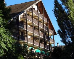 Hotel Les Barnieres
