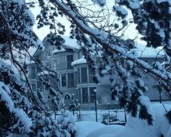 Appartement am Schlatterberg