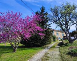 Domaine Bellelauze