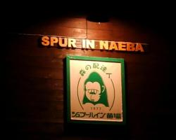 Spur In Naeba