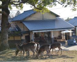 The Deer Park Inn