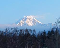 Behagliche Ferienwohnung