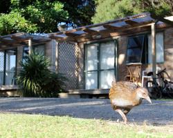 Russell-Orongo Bay Holiday Park