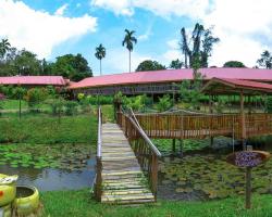 Sabah Tea Garden-Longhouses