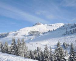 Studio Les Iris 18 Station Thollon les Mémises