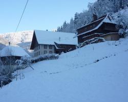 Dreamy Holiday Home in Simonswald near Ski Area