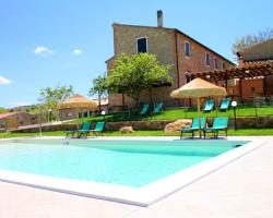 Casale A Montescudaio - Olivo