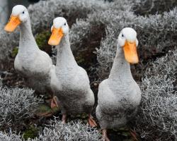 Hotel Locanda Le Tre Oche