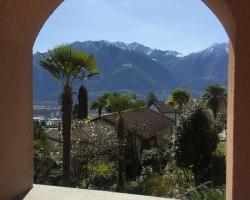 Green View Apartments