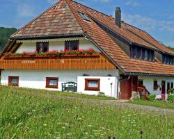 Luscious Apartment in Rickenbach with Free WiFi