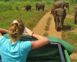 Ath Paura Safari Resort