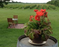 Moonlight On The Lake Bed & Breakfast