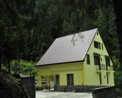 Guest House Borjomi Forest