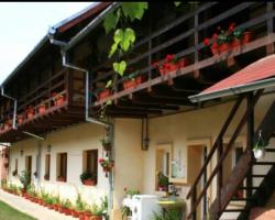 Pensiunea Leia Cârțișoara