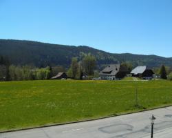 Hotel Rheingold Garni