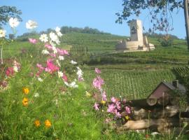 Ecologis du Vignoble, hotel con estacionamiento en Katzenthal