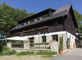 Hotel Křemešník