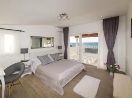 Luxury villa Vela Rina