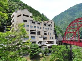 大歩危峡まんなか、三好市の旅館