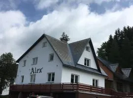 Apartmány Alex