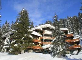 Alpen Appartements Zauchensee