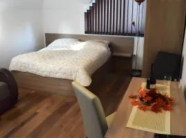 Vila Premijer Divčibare