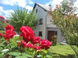 Guest House Olbina