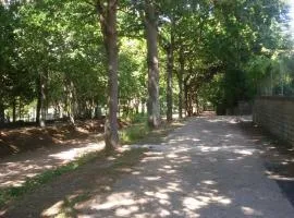 alloggio turistico olmata