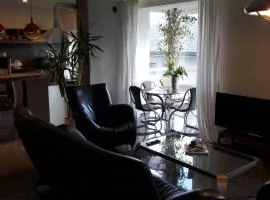 Vilnius Luxury Apartment 1