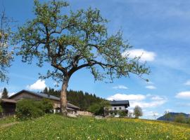 Unterhofgut: Goldegg şehrinde bir çiftlik evi