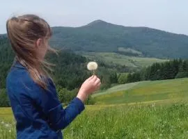 Chata pod Mogielicą - klimatyczny dom na wyłączność z widokiem na góry