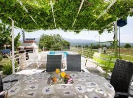 Villa with pool near Split