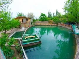 Amiran's Lake
