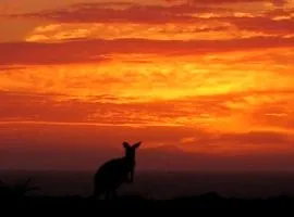Gnaraloo Station - Homestead