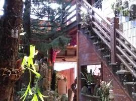 Sea Villa Homestay