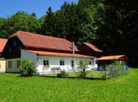 Haus im Grünen - Gmundennähe, orlofshús/-íbúð í Pinsdorf