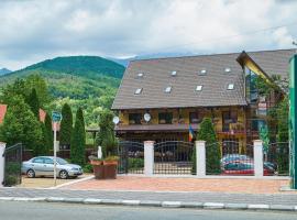 Pensiunea Alfrid, ξενοδοχείο σε Călimăneşti
