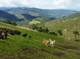 Hotel Rural Yeguada Albeitar