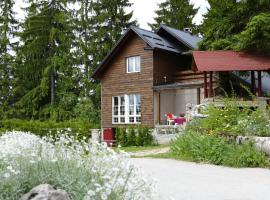 Vlašić House, chalet i Vlasic