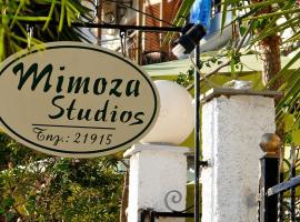 Mimoza Studios – hotel w mieście Skiatos
