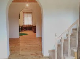 Guest house in Nikortsminda Racha